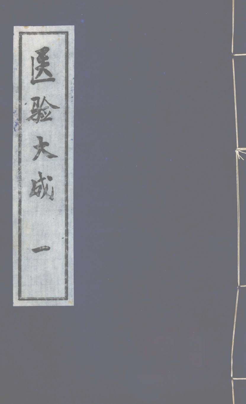 医验大成  1